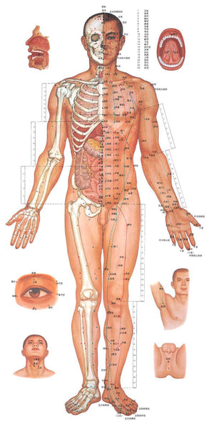 Premium Laser Acupuncture Pen